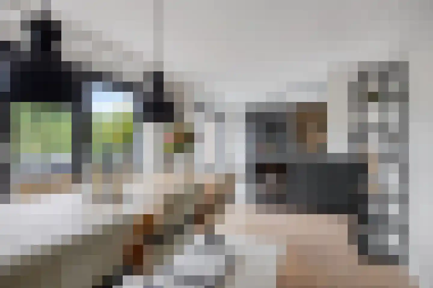 Pallasstraat 1 Oudorp thumbnail 20