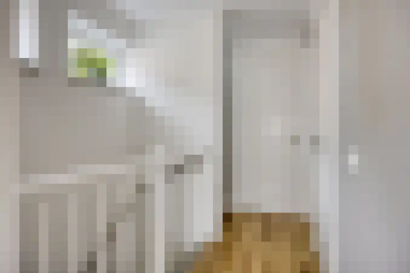 Pallasstraat 1 Oudorp thumbnail 43