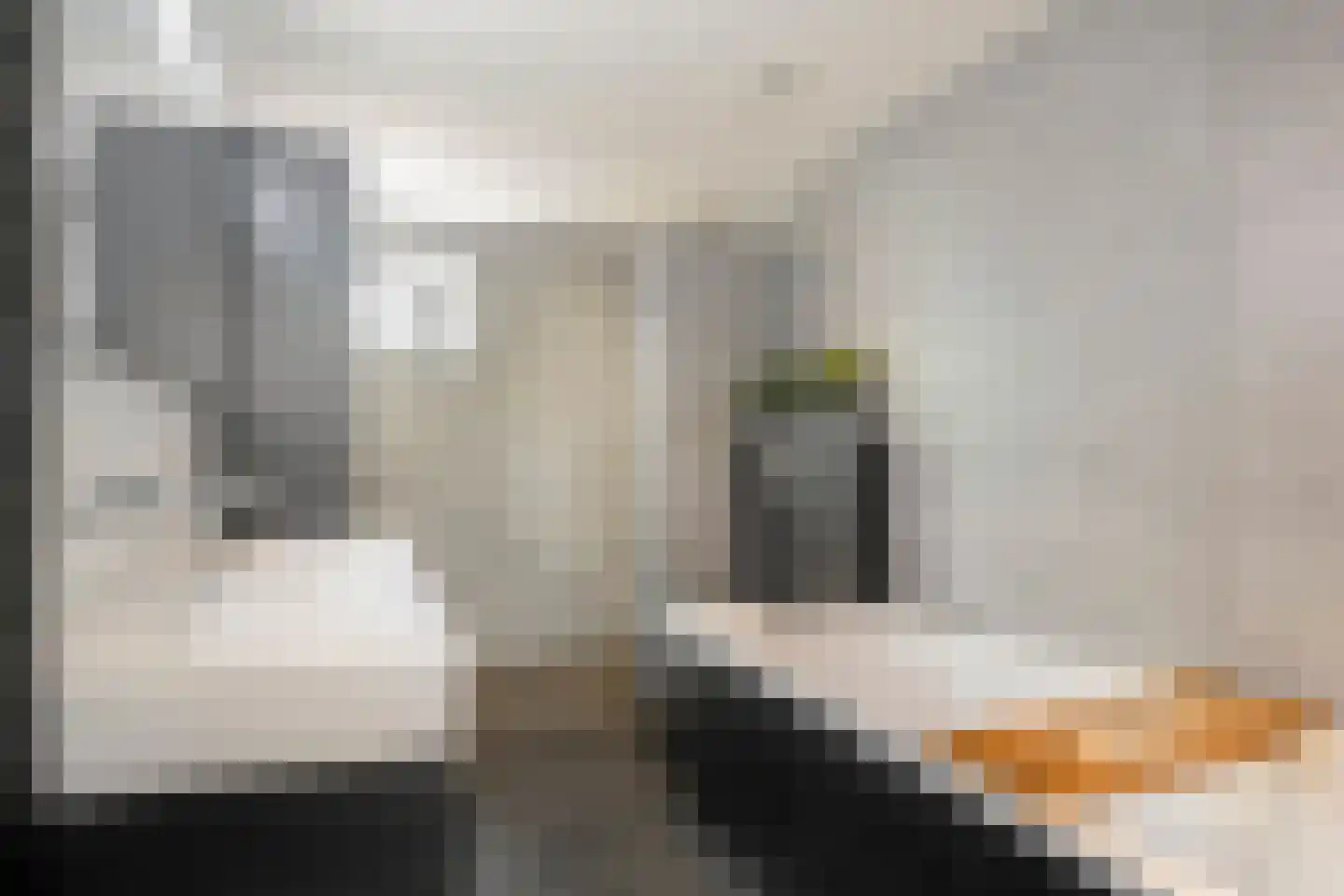Pallasstraat 1 Oudorp thumbnail 46