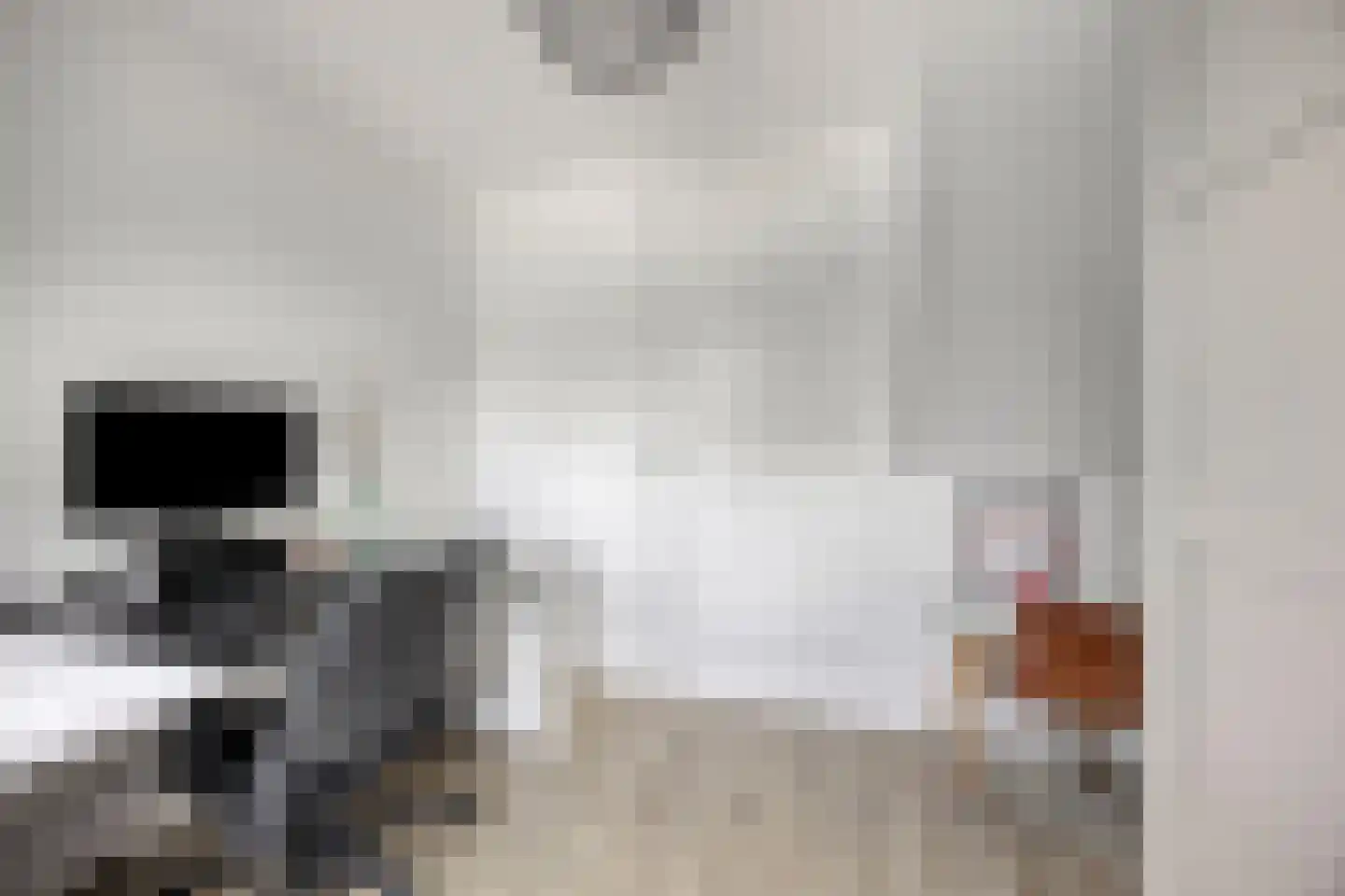 Pallasstraat 1 Oudorp thumbnail 52