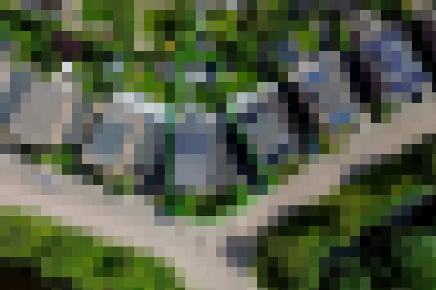 Pallasstraat 1 Oudorp thumbnail 64