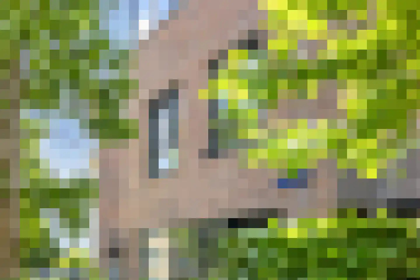 Pallasstraat 1 Oudorp thumbnail 9