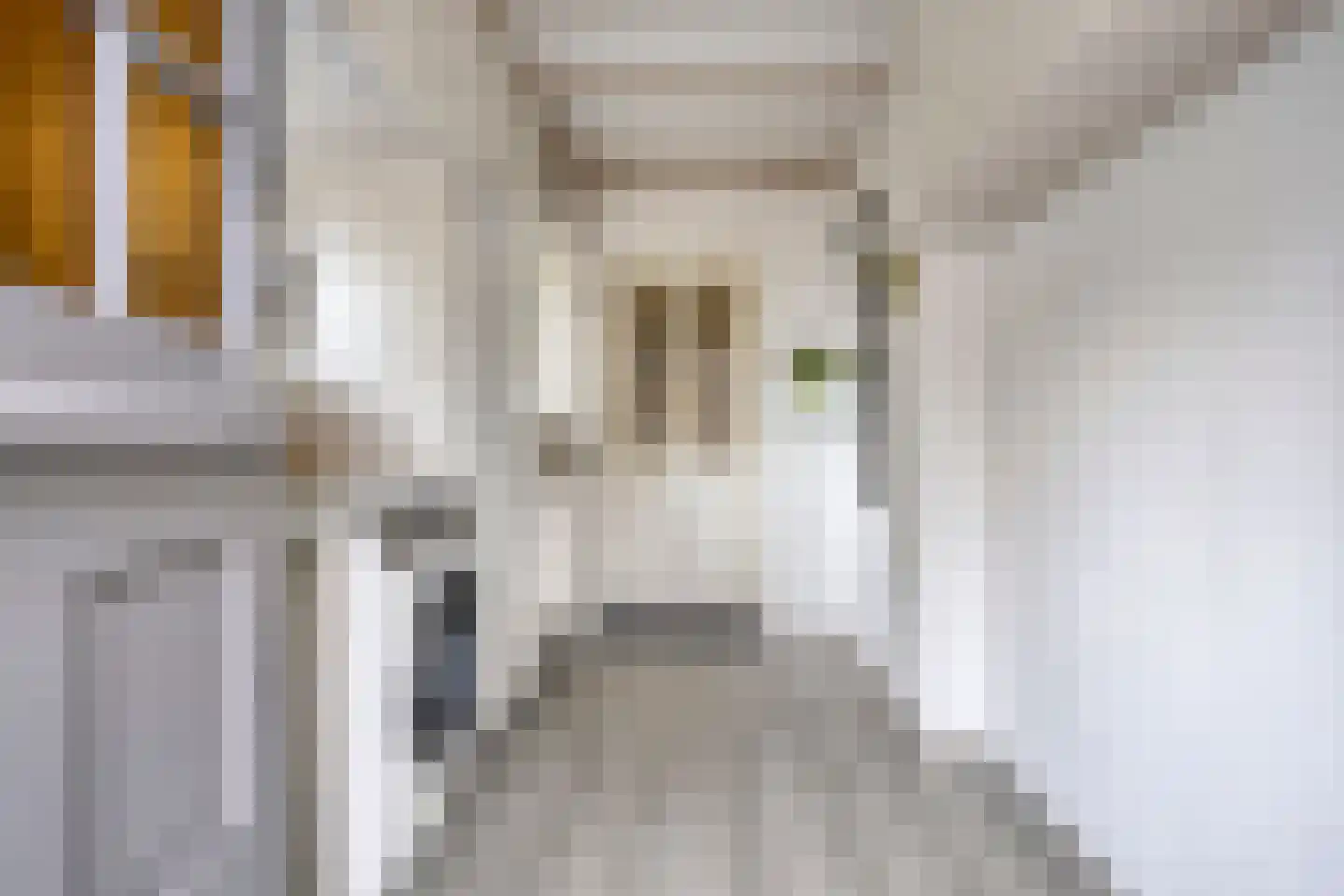 Pallasstraat 116 Emmeloord thumbnail 22
