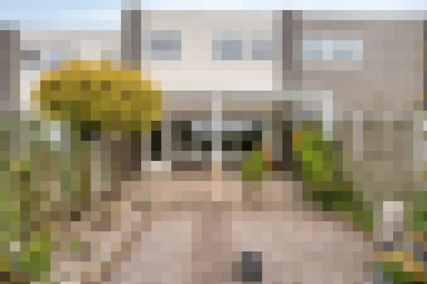 Pallasstraat 116 Emmeloord thumbnail 40