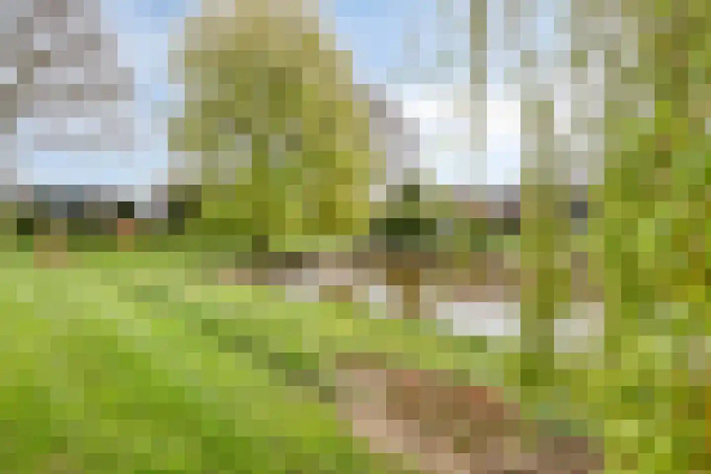 Pallasstraat 116 Emmeloord thumbnail 44