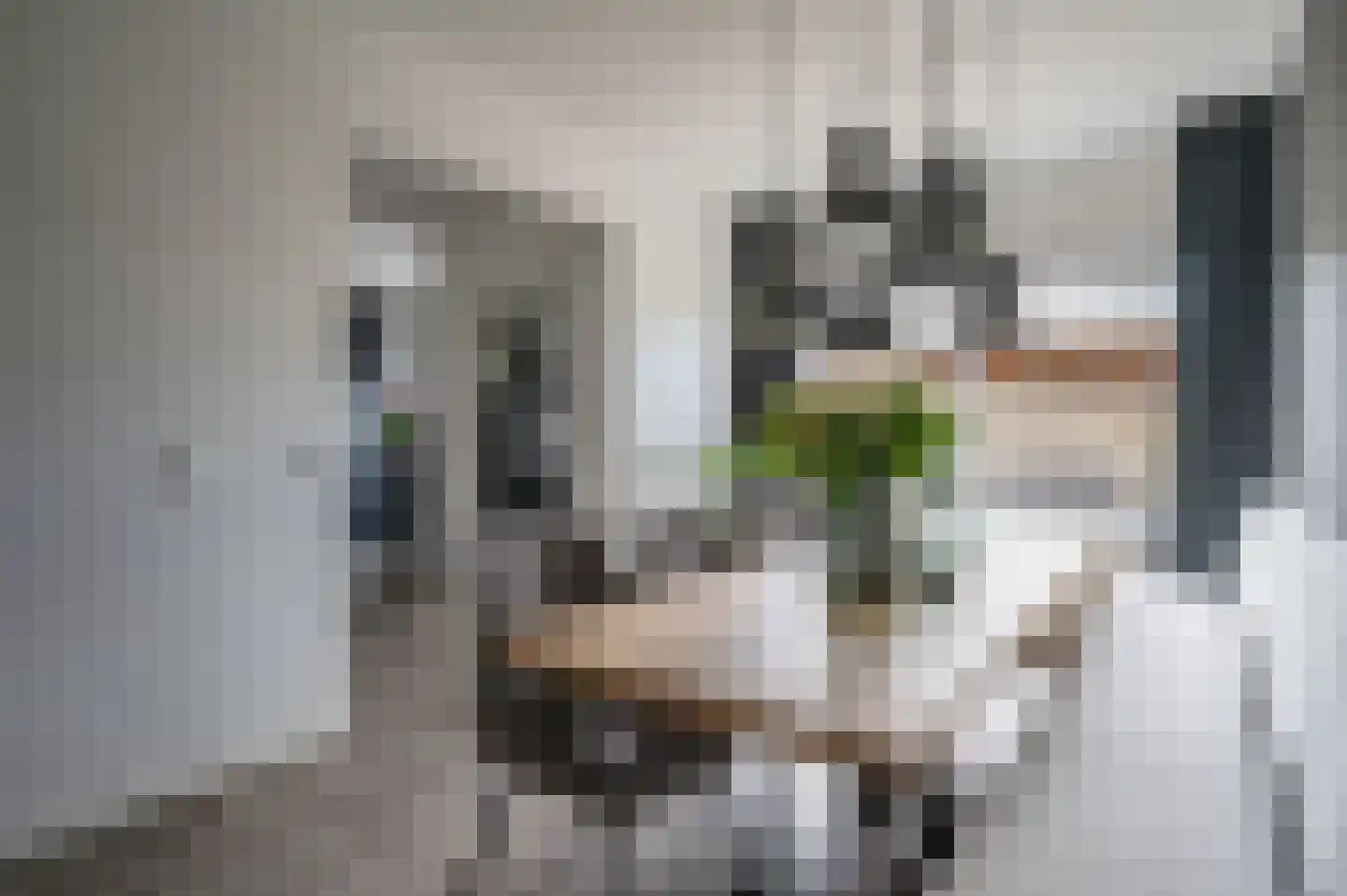Pallasstraat 137 Emmeloord thumbnail 10