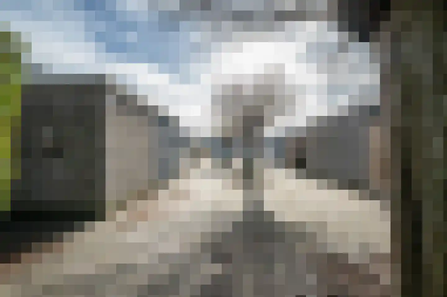 Pallasstraat 137 Emmeloord thumbnail 41