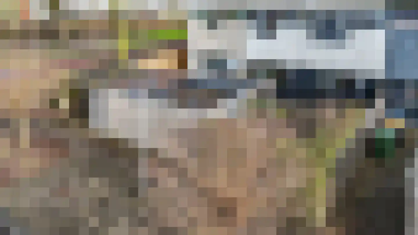Pallasstraat 137 Emmeloord thumbnail 42