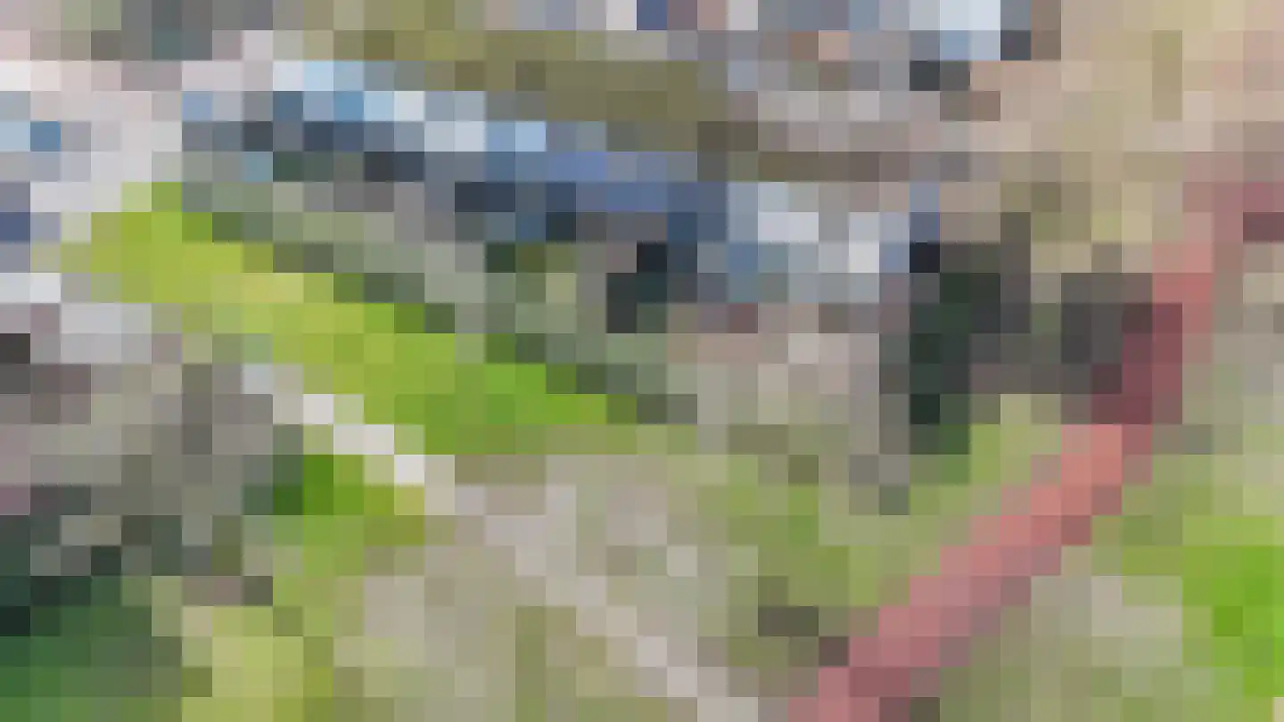 Pallasstraat 137 Emmeloord thumbnail 44