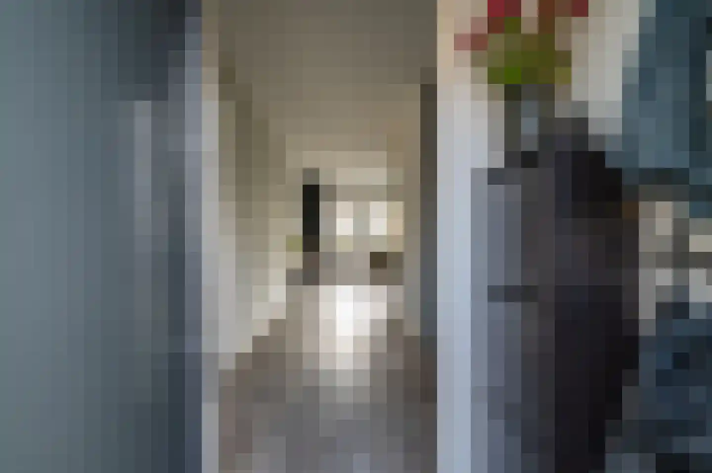 Pallasstraat 137 Emmeloord thumbnail 5