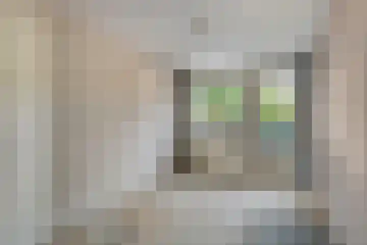 Pallasstraat 154 Emmeloord thumbnail 32