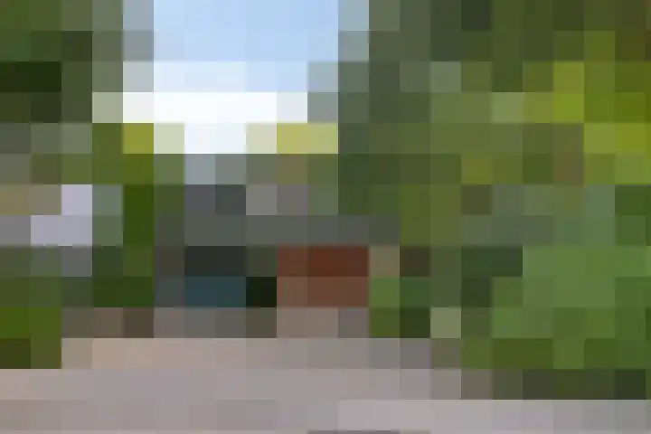 Pallasstraat 154 Emmeloord thumbnail 4