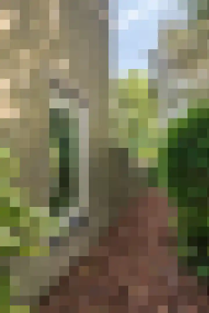 Pallasstraat 154 Emmeloord thumbnail 48