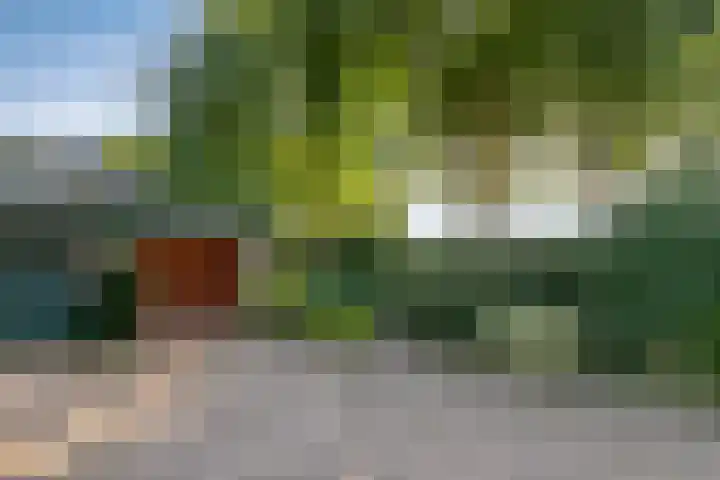Pallasstraat 154 Emmeloord thumbnail 5