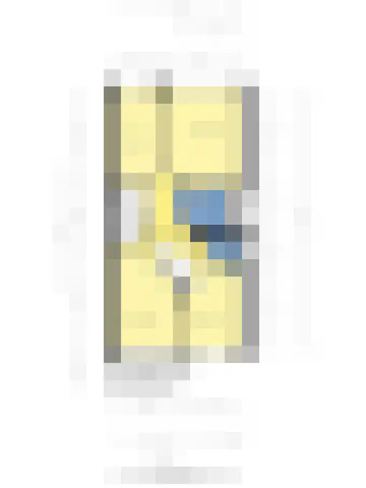 Pallasstraat 154 Emmeloord thumbnail 53