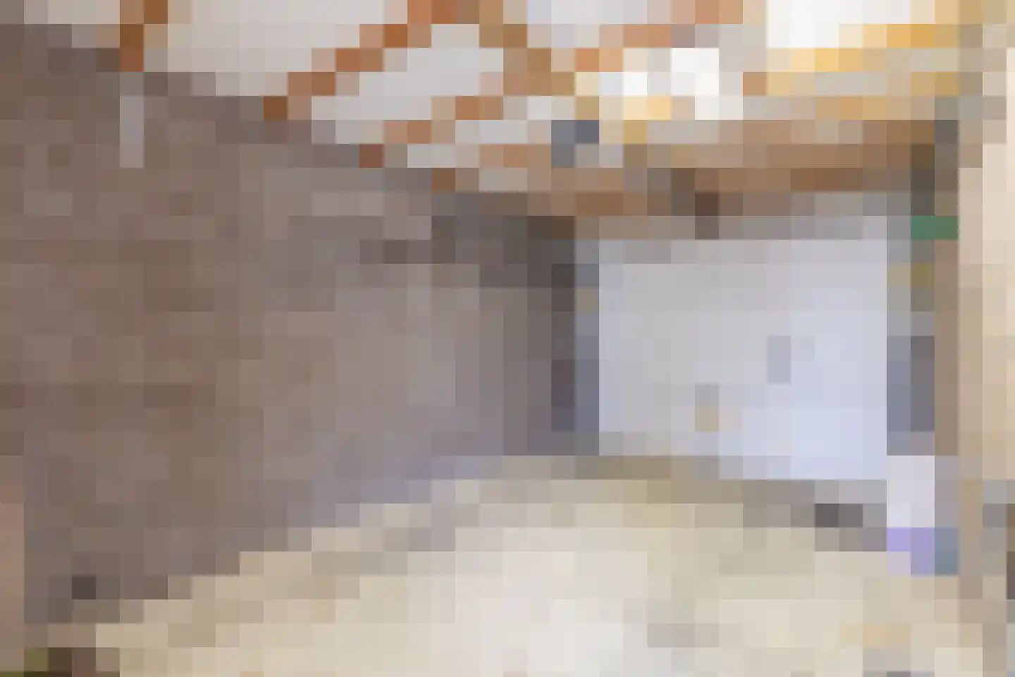 Pallasstraat 2 Oudorp thumbnail 35
