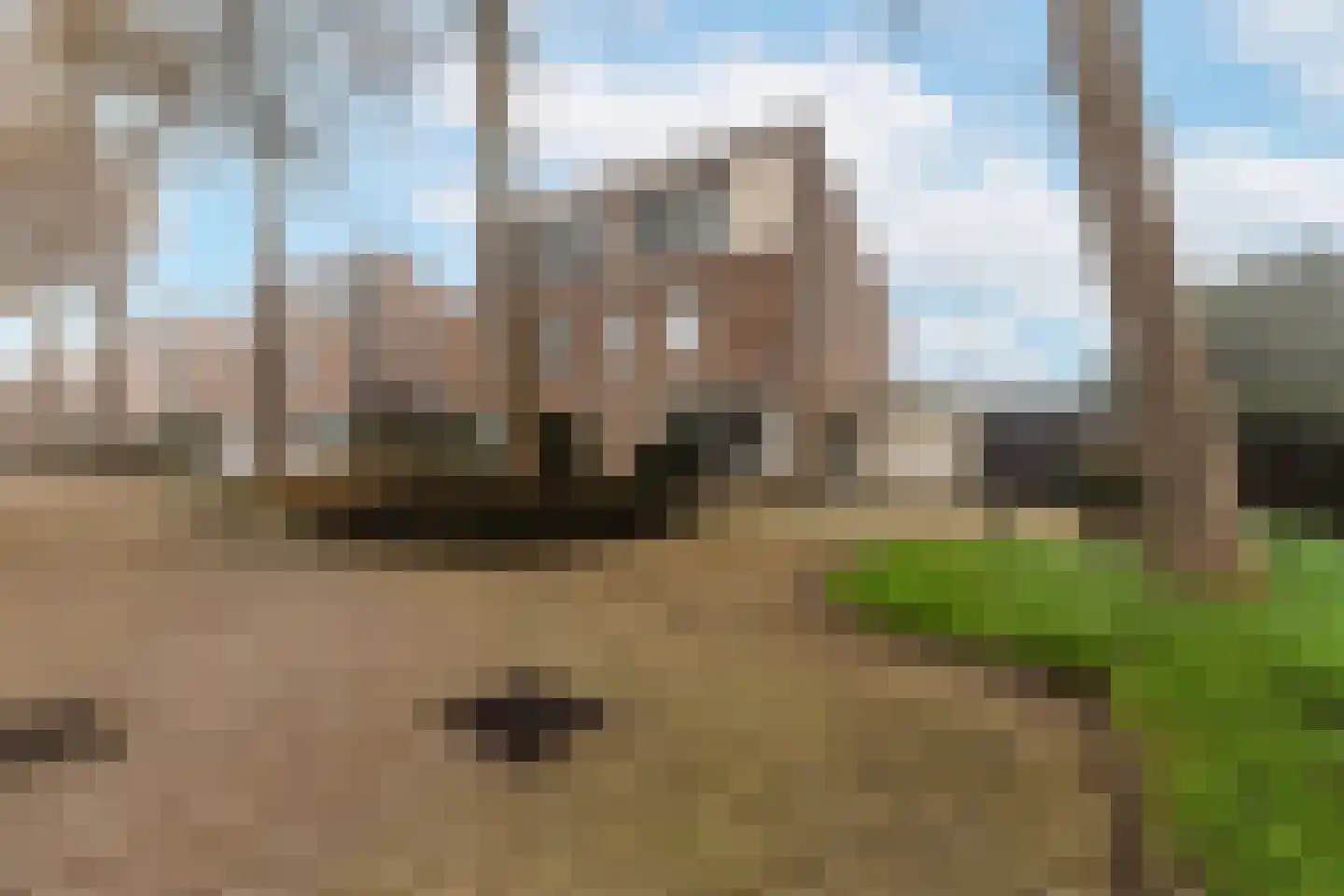 Pallasstraat 2 Oudorp thumbnail 46