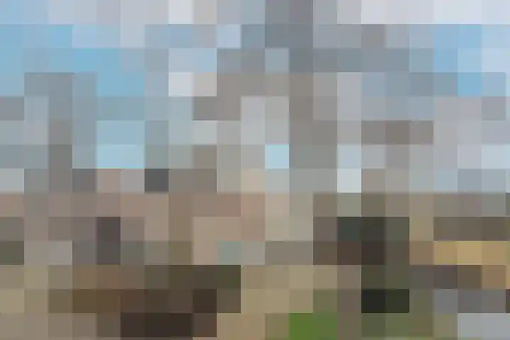 Pallasstraat 2 Oudorp thumbnail 5