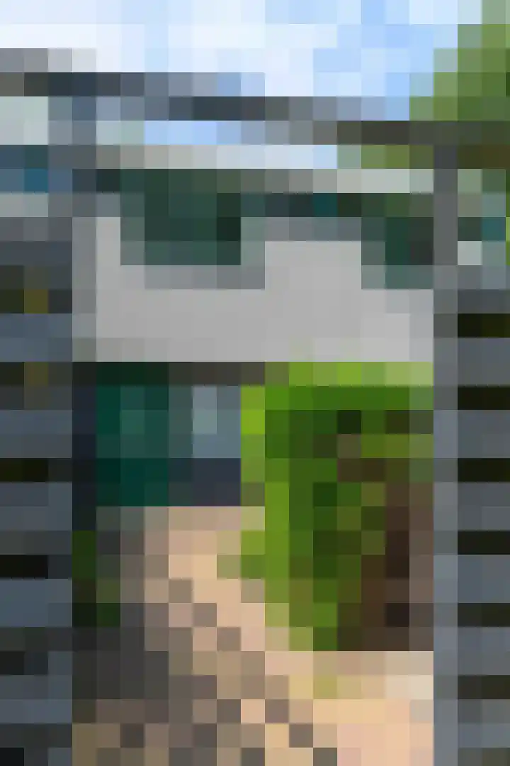 Pallasstraat 225 Emmeloord thumbnail 6