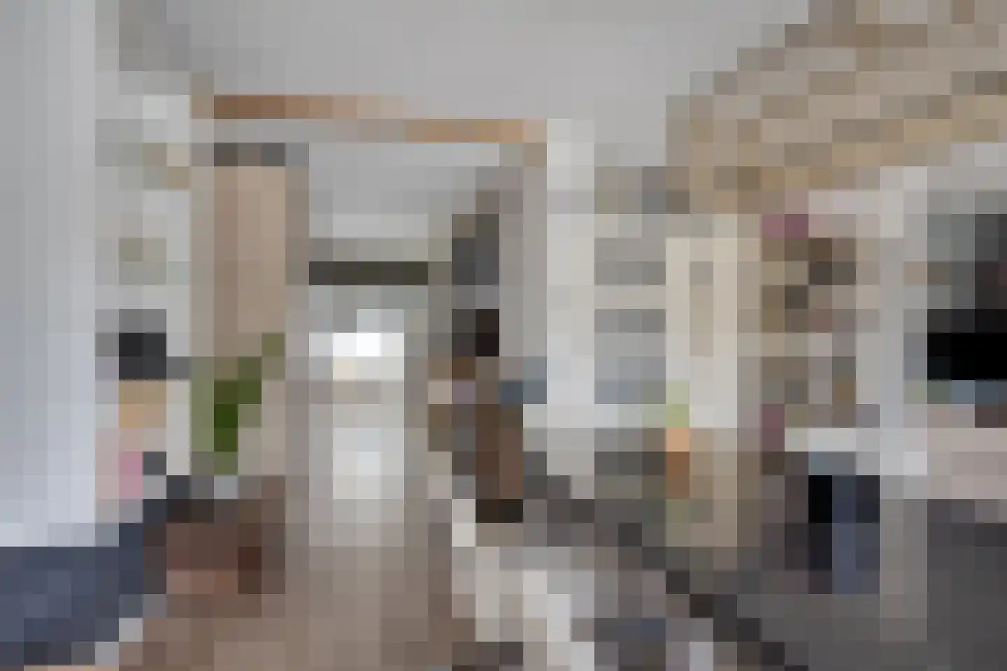 Pallasstraat 39 Emmeloord thumbnail 14