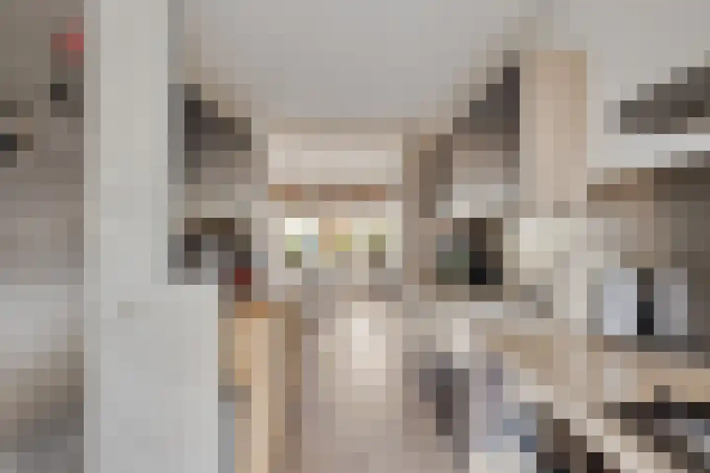 Pallasstraat 39 Emmeloord thumbnail 18
