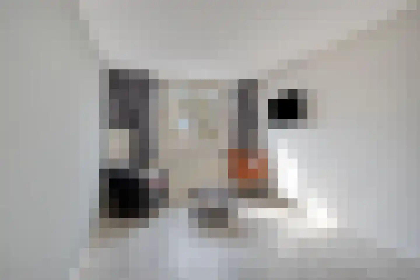 Pallasstraat 39 Emmeloord thumbnail 26