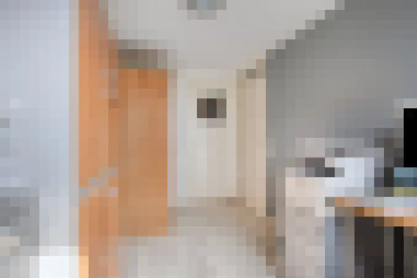 Pallasstraat 39 Emmeloord thumbnail 29