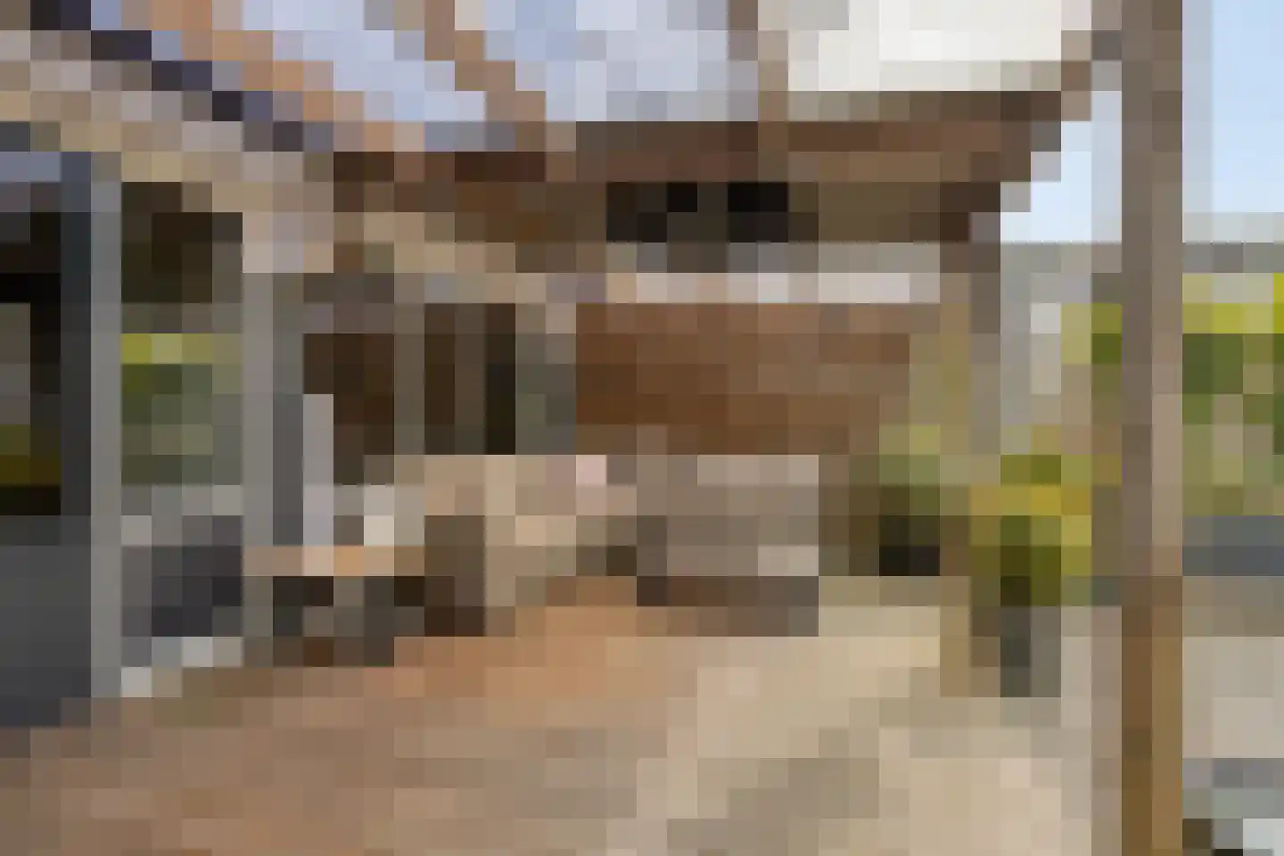 Pallasstraat 39 Emmeloord thumbnail 36