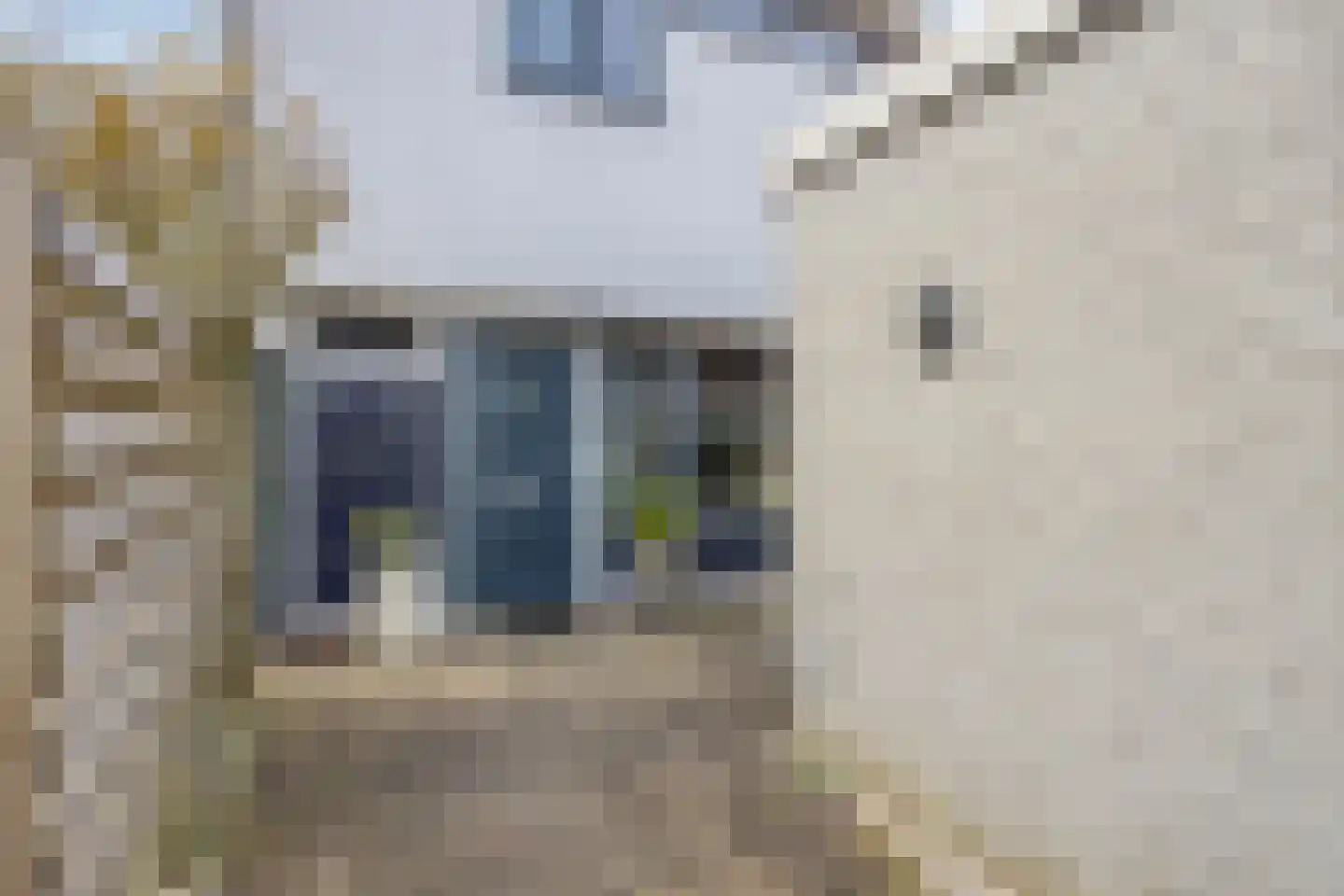 Pallasstraat 39 Emmeloord thumbnail 4