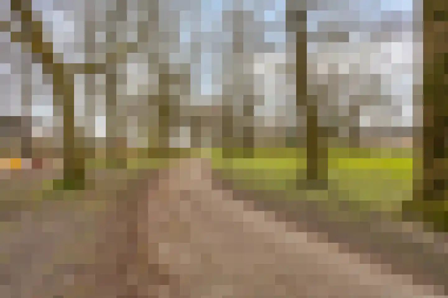 Pallasstraat 39 Emmeloord thumbnail 41