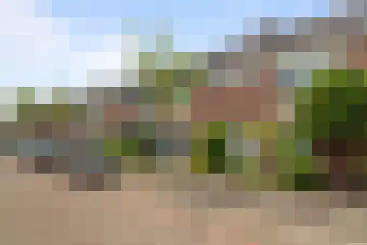 Pallasstraat 58 Alphen aan den Rijn thumbnail 4
