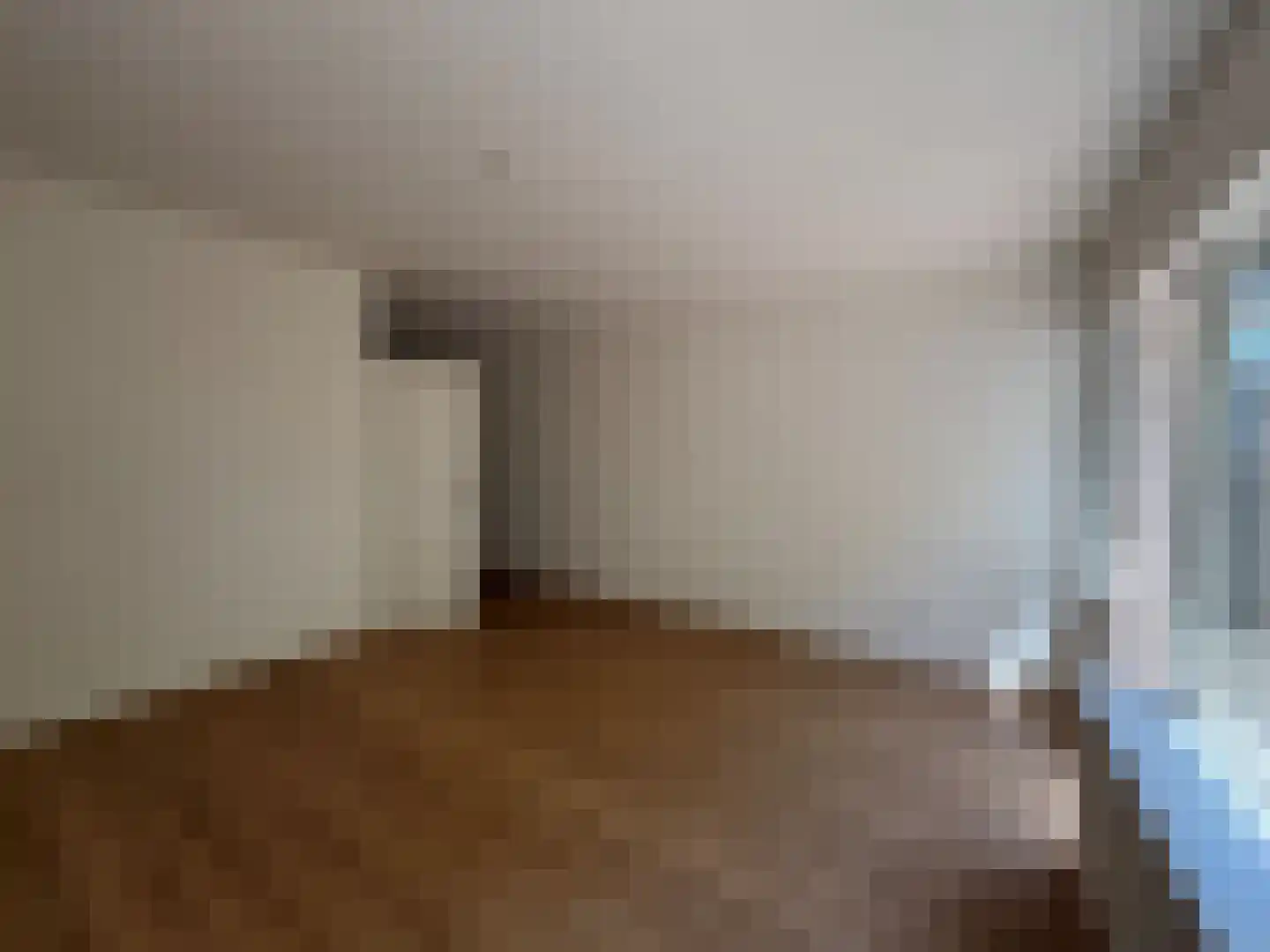 Pallasstraat 69 Emmeloord thumbnail 12