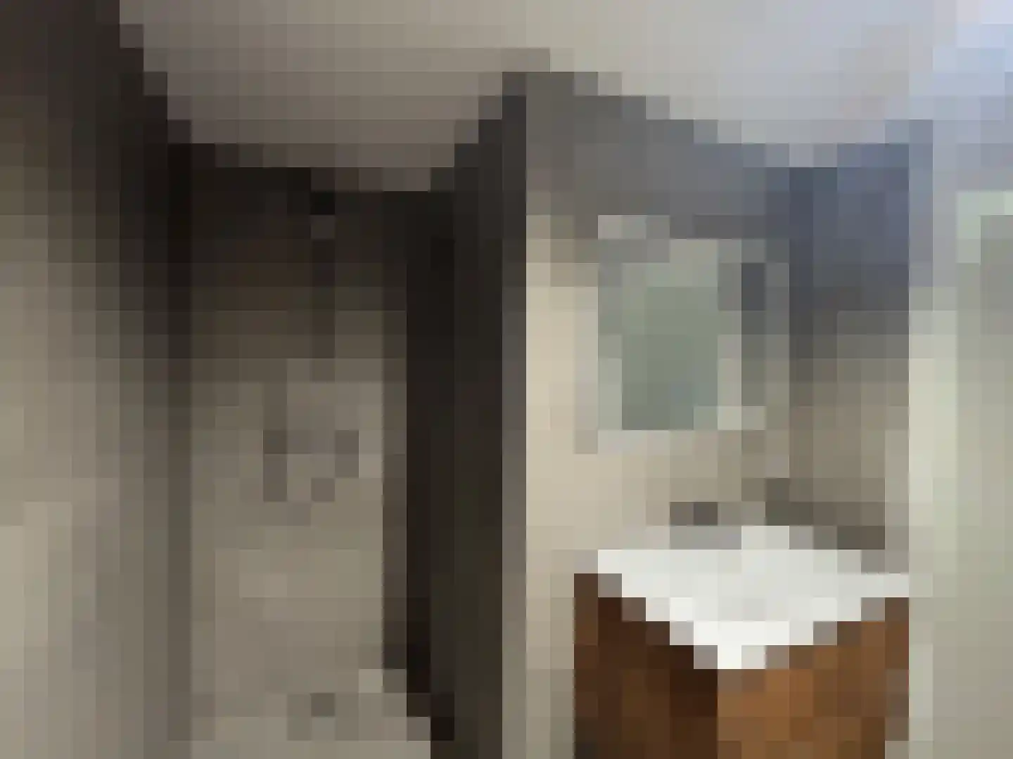Pallasstraat 69 Emmeloord thumbnail 17