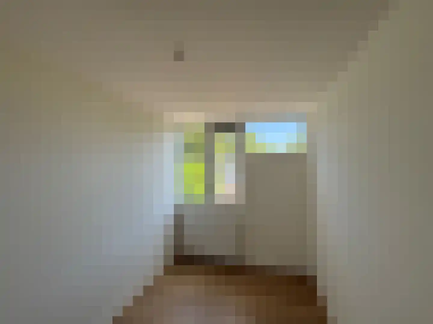 Pallasstraat 69 Emmeloord thumbnail 20