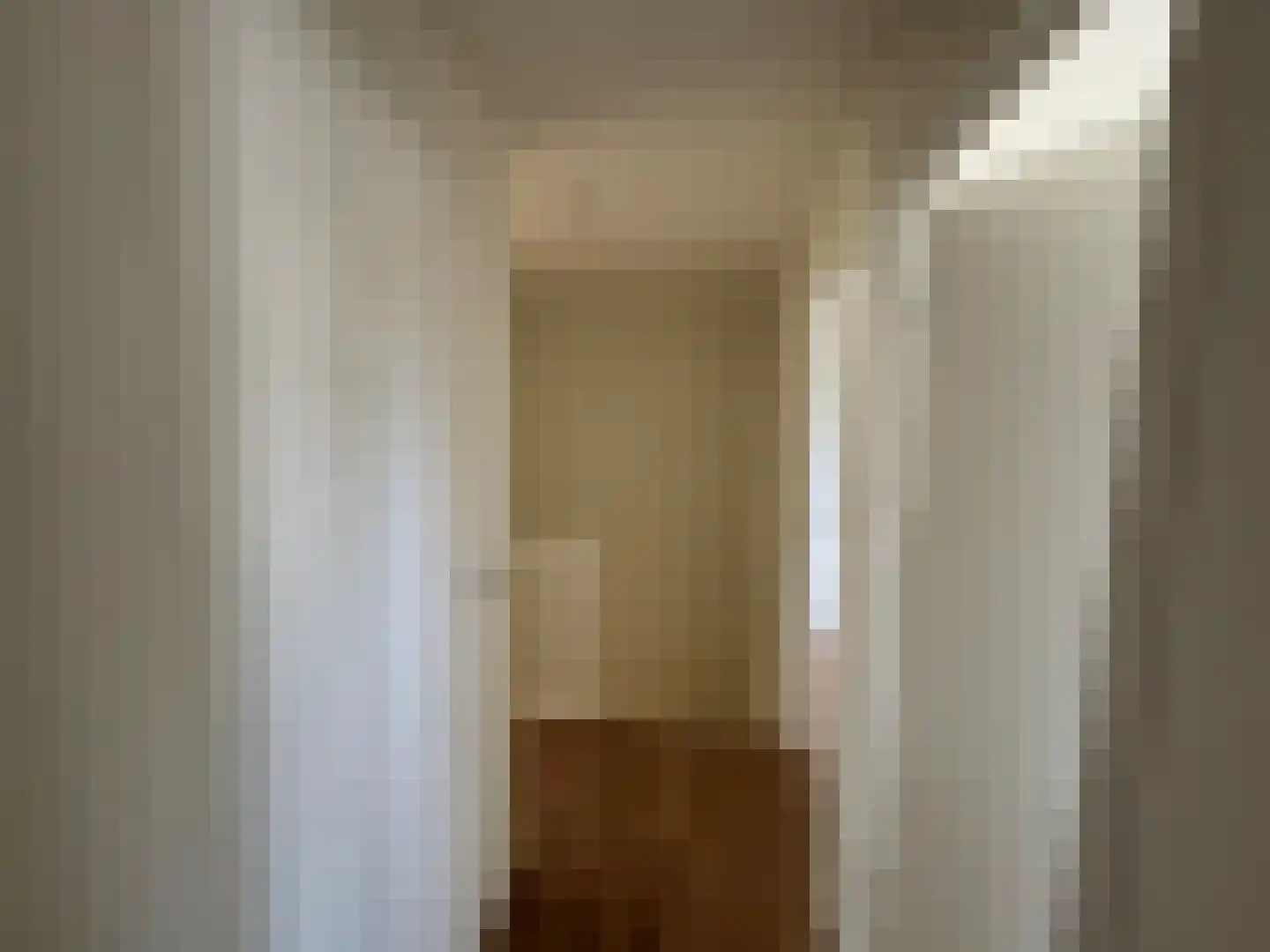 Pallasstraat 69 Emmeloord thumbnail 22