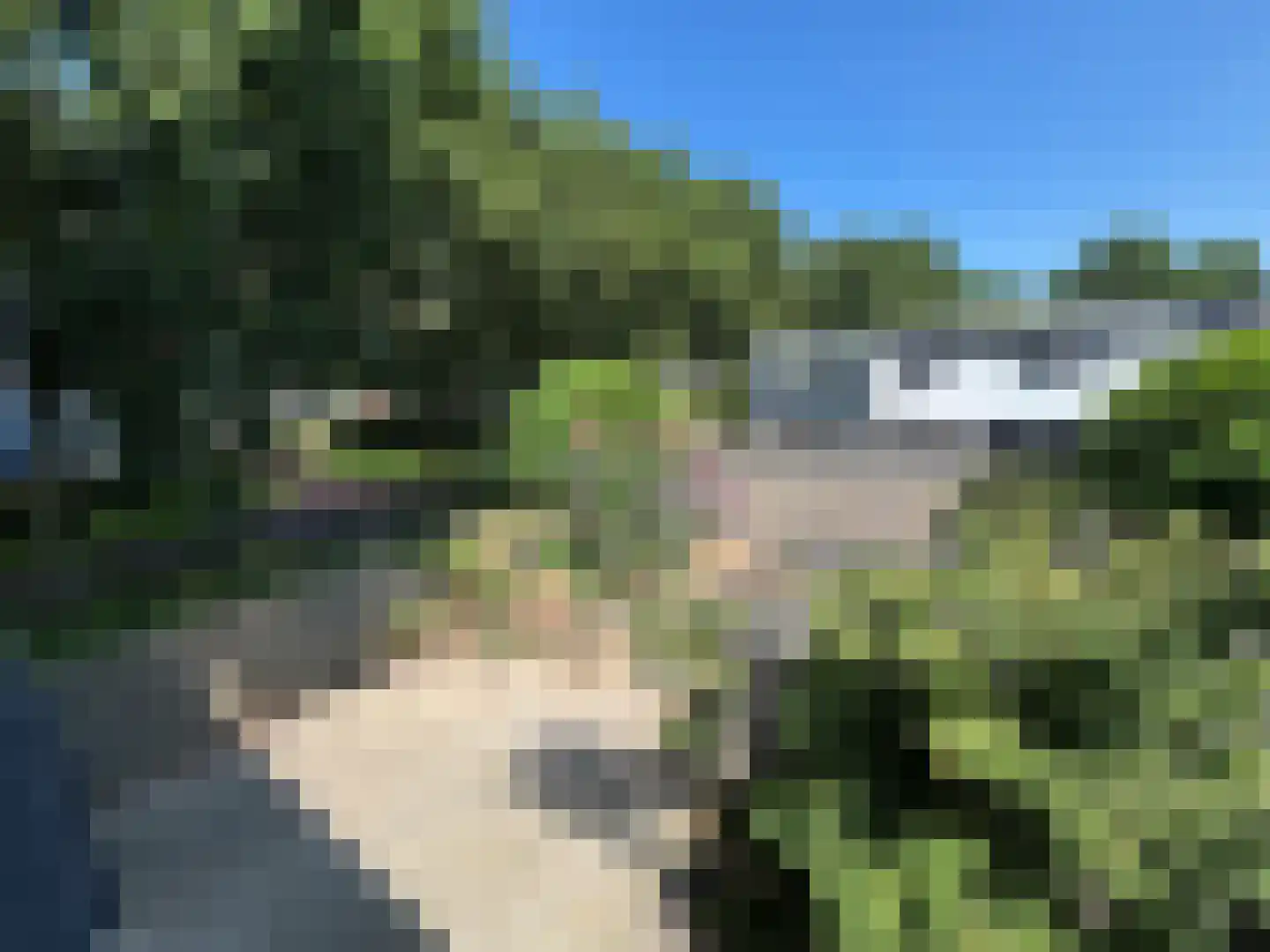 Pallasstraat 69 Emmeloord thumbnail 24