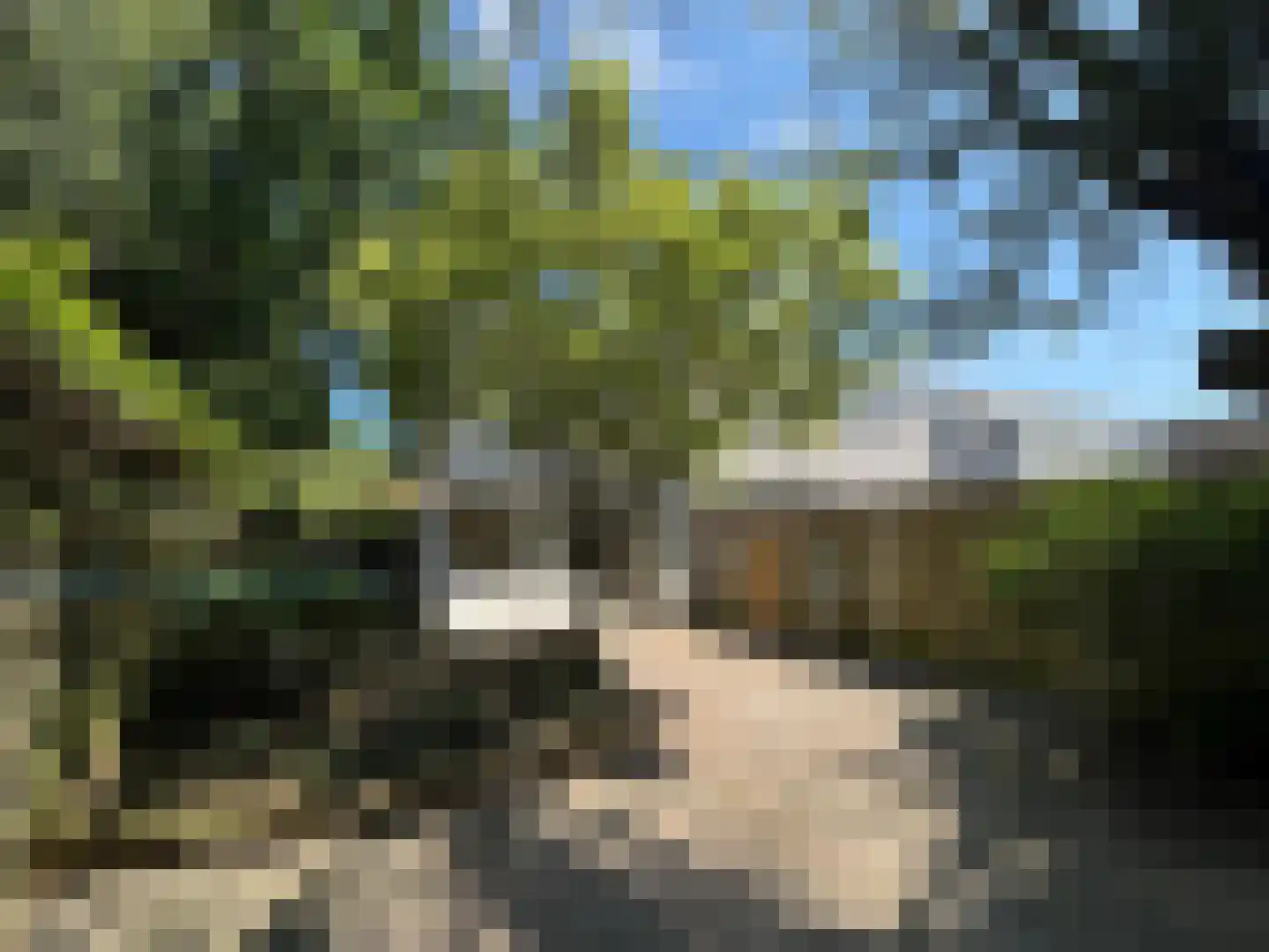 Pallasstraat 69 Emmeloord thumbnail 26