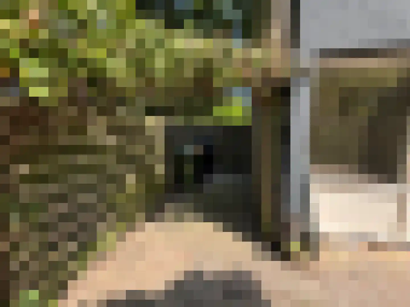 Pallasstraat 69 Emmeloord thumbnail 27