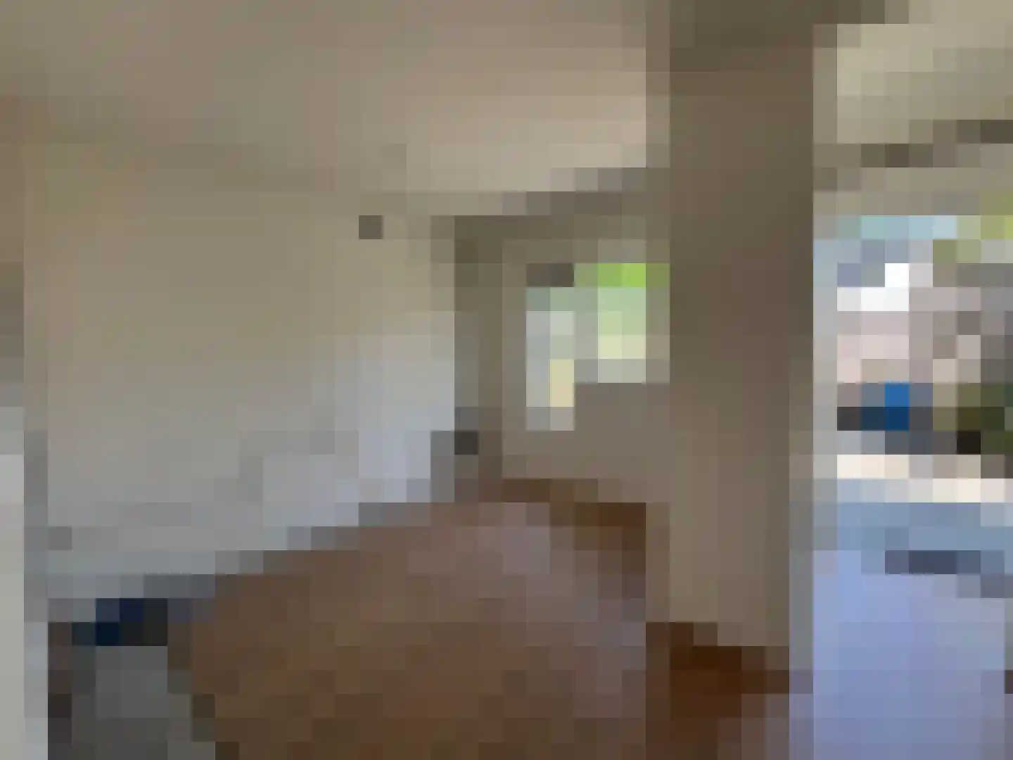 Pallasstraat 69 Emmeloord thumbnail 5