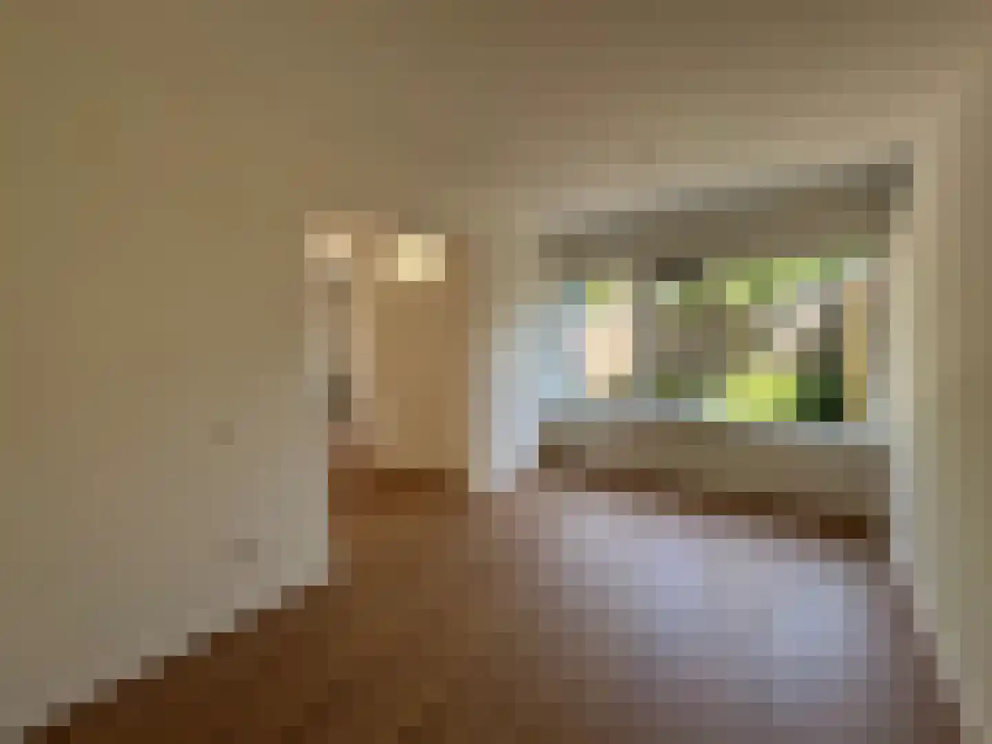 Pallasstraat 69 Emmeloord thumbnail 6