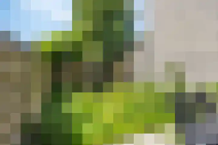 Pallasstraat 86 Emmeloord thumbnail 22