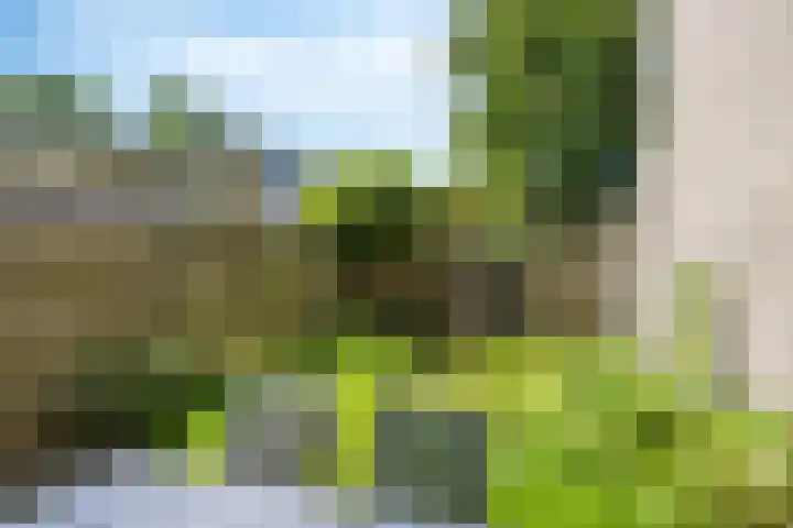 Pallasstraat 86 Emmeloord thumbnail 23