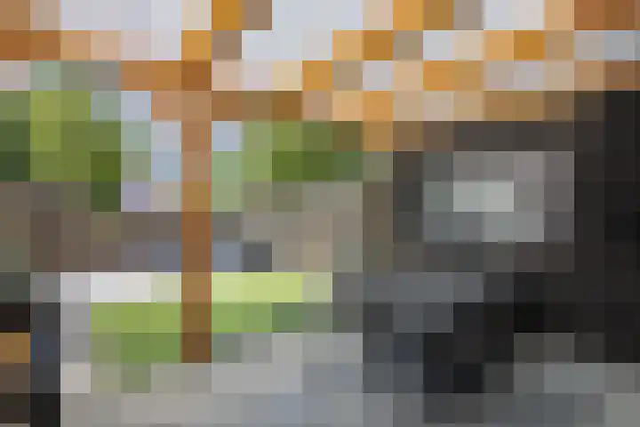 Pallasstraat 87 Emmeloord thumbnail 21
