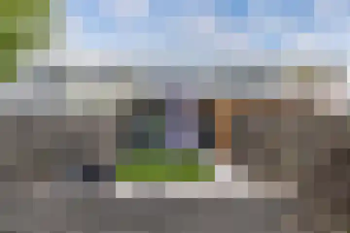Pallasstraat 87 Emmeloord thumbnail 28