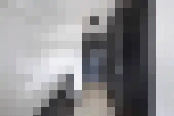 Pallasstraat 87 Emmeloord thumbnail 31