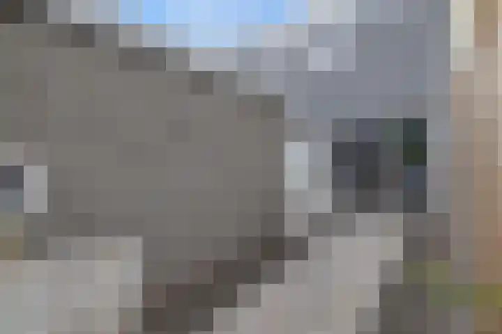 Pallasstraat 87 Emmeloord thumbnail 7