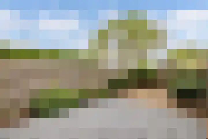Pallasstraat 96 Emmeloord thumbnail 17
