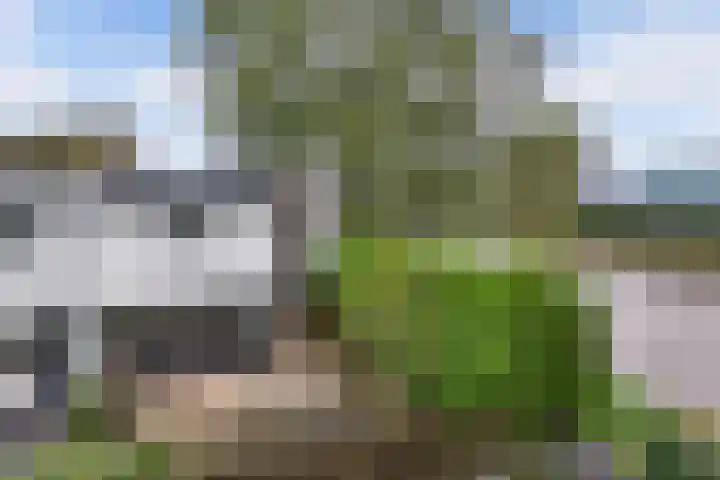 Pallasstraat 98 Emmeloord thumbnail 29