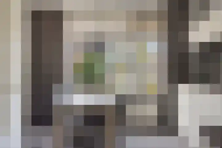 Pallick van Hoevellaan 10 Losser thumbnail 11