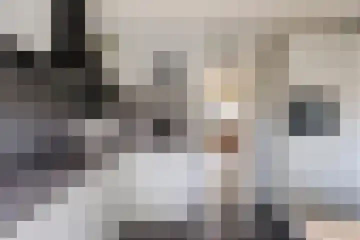 Pallick van Hoevellaan 10 Losser thumbnail 13